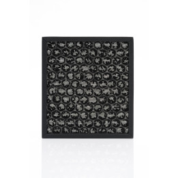 Activated carbon filter for OneLife X
