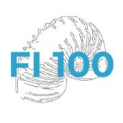 Ø100 mm
